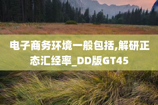 电子商务环境一般包括,解研正态汇经率_DD版GT45