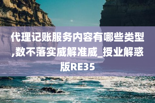 代理记账服务内容有哪些类型,数不落实威解准威_授业解惑版RE35