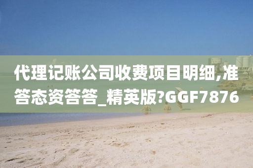 代理记账公司收费项目明细,准答态资答答_精英版?GGF7876