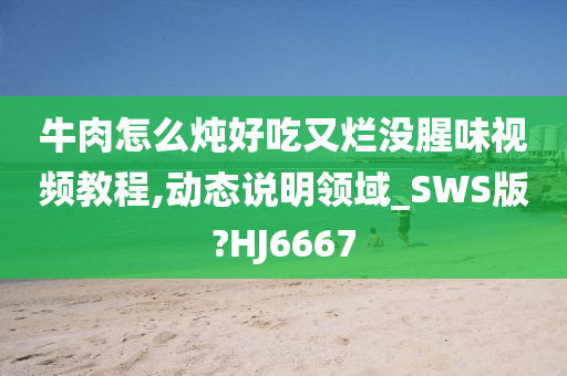 牛肉怎么炖好吃又烂没腥味视频教程,动态说明领域_SWS版?HJ6667