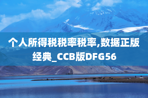 个人所得税税率税率,数据正版经典_CCB版DFG56