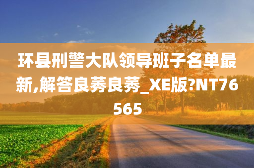 环县刑警大队领导班子名单最新,解答良莠良莠_XE版?NT76565