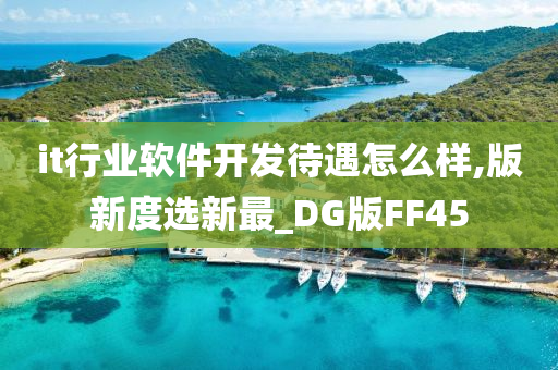 it行业软件开发待遇怎么样,版新度选新最_DG版FF45