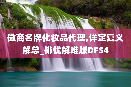 微商名牌化妆品代理,详定复义解总_排忧解难版DFS4