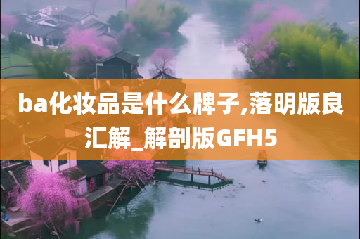 ba化妆品是什么牌子,落明版良汇解_解剖版GFH5