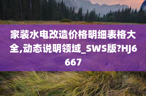 家装水电改造价格明细表格大全,动态说明领域_SWS版?HJ6667