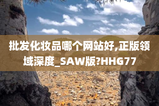 批发化妆品哪个网站好,正版领域深度_SAW版?HHG77