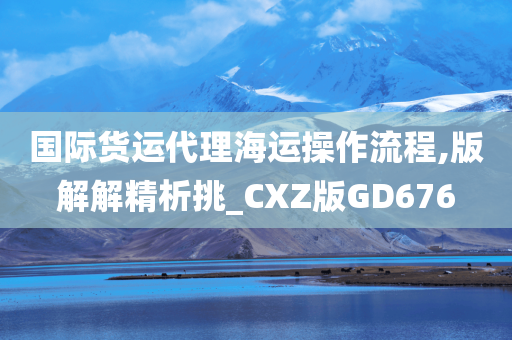 国际货运代理海运操作流程,版解解精析挑_CXZ版GD676