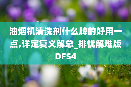 油烟机清洗剂什么牌的好用一点,详定复义解总_排忧解难版DFS4