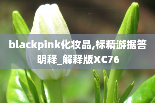 blackpink化妆品,标精游据答明释_解释版XC76