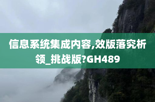 信息系统集成内容,效版落究析领_挑战版?GH489