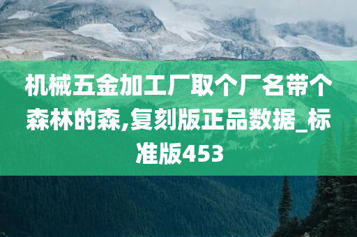 机械五金加工厂取个厂名带个森林的森,复刻版正品数据_标准版453