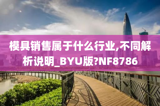 模具销售属于什么行业,不同解析说明_BYU版?NF8786