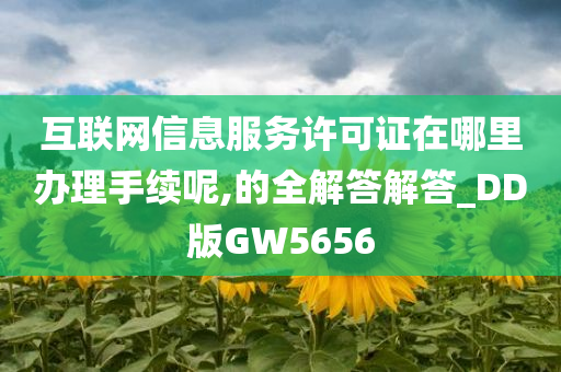 互联网信息服务许可证在哪里办理手续呢,的全解答解答_DD版GW5656