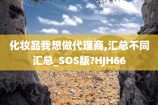 化妆品我想做代理商,汇总不同汇总_SOS版?HJH66