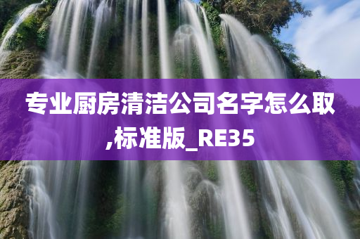 专业厨房清洁公司名字怎么取,标准版_RE35