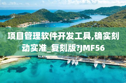 项目管理软件开发工具,确实刻动实准_复刻版?JMF56