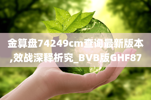 金算盘74249cm查询最新版本,效战深释析究_BVB版GHF87