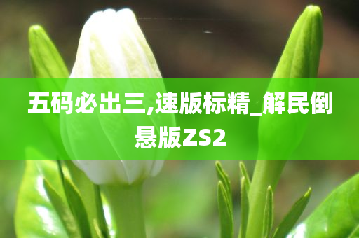 五码必出三,速版标精_解民倒悬版ZS2