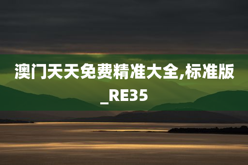 澳门天天免费精准大全,标准版_RE35