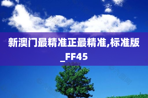 新澳门最精准正最精准,标准版_FF45