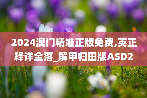 2024澳门精准正版免费,英正释详全落_解甲归田版ASD2