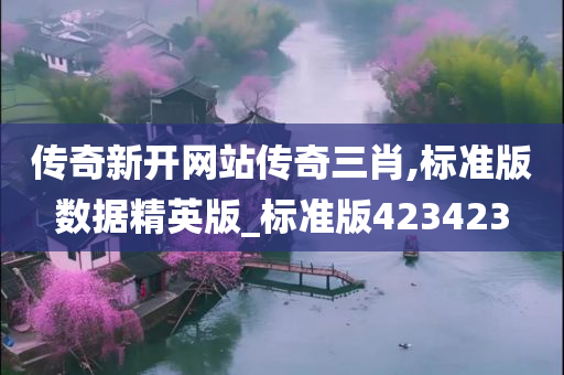 传奇新开网站传奇三肖,标准版数据精英版_标准版423423