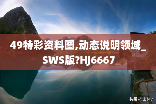 49特彩资料图,动态说明领域_SWS版?HJ6667