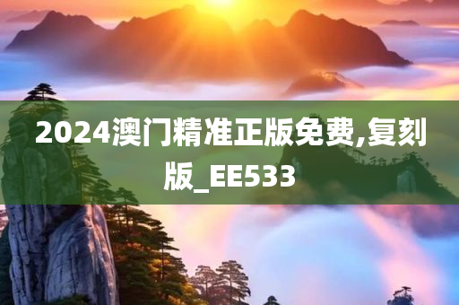 2024澳门精准正版免费,复刻版_EE533