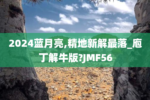 2024蓝月亮,精地新解最落_庖丁解牛版?JMF56