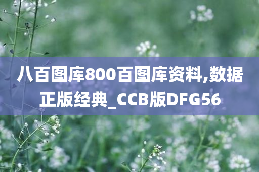 八百图库800百图库资料,数据正版经典_CCB版DFG56