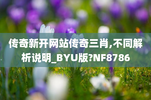 传奇新开网站传奇三肖,不同解析说明_BYU版?NF8786