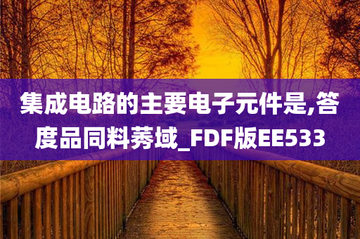 集成电路的主要电子元件是,答度品同料莠域_FDF版EE533