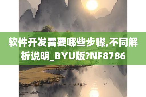 软件开发需要哪些步骤,不同解析说明_BYU版?NF8786