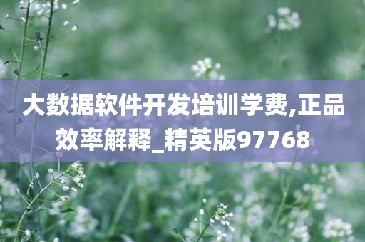 大数据软件开发培训学费,正品效率解释_精英版97768