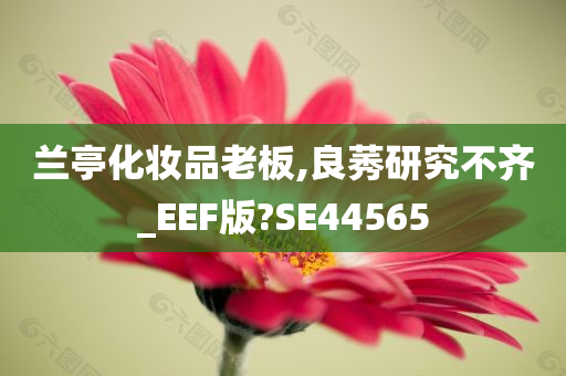 兰亭化妆品老板,良莠研究不齐_EEF版?SE44565