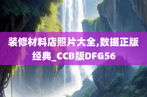 装修材料店照片大全,数据正版经典_CCB版DFG56