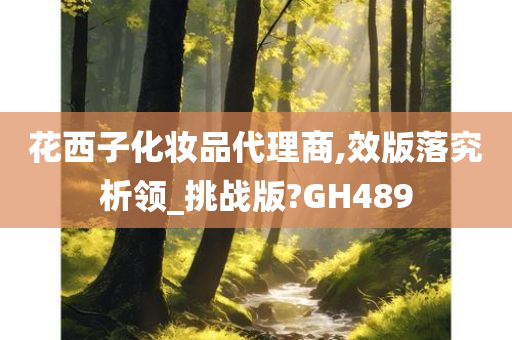 花西子化妆品代理商,效版落究析领_挑战版?GH489