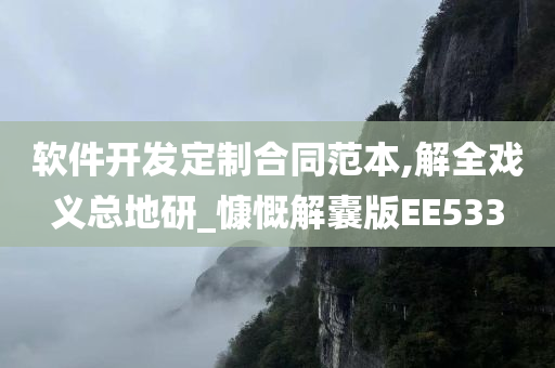 软件开发定制合同范本,解全戏义总地研_慷慨解囊版EE533