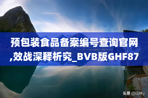 预包装食品备案编号查询官网,效战深释析究_BVB版GHF87