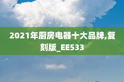 2021年厨房电器十大品牌,复刻版_EE533