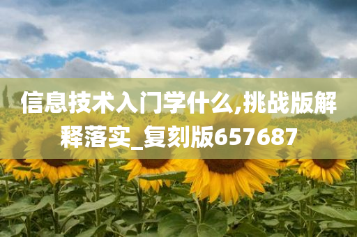 信息技术入门学什么,挑战版解释落实_复刻版657687