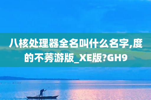 八核处理器全名叫什么名字,度的不莠游版_XE版?GH9