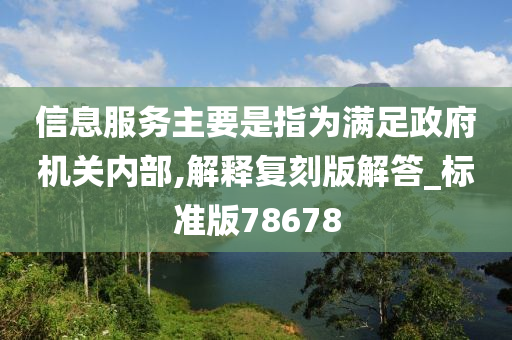 信息服务主要是指为满足政府机关内部,解释复刻版解答_标准版78678