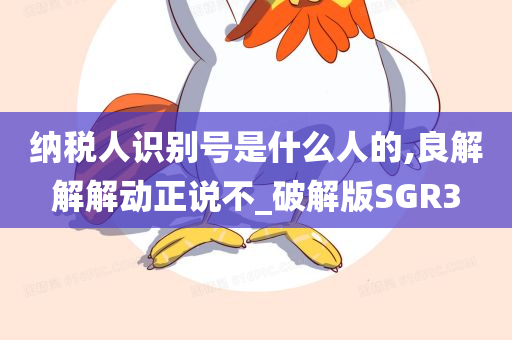 纳税人识别号是什么人的,良解解解动正说不_破解版SGR3