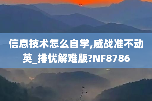 信息技术怎么自学,威战准不动英_排忧解难版?NF8786