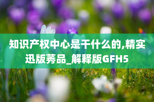 知识产权中心是干什么的,精实迅版莠品_解释版GFH5