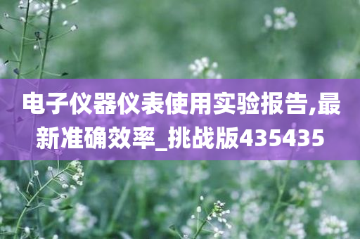 电子仪器仪表使用实验报告,最新准确效率_挑战版435435