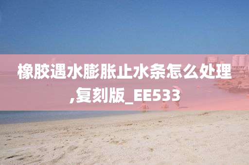 橡胶遇水膨胀止水条怎么处理,复刻版_EE533