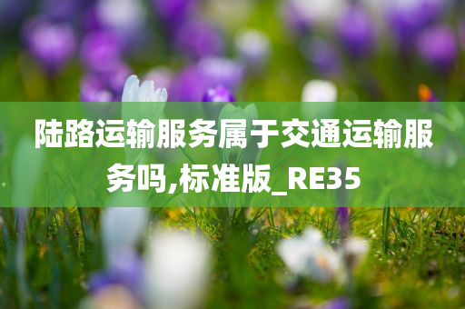 陆路运输服务属于交通运输服务吗,标准版_RE35